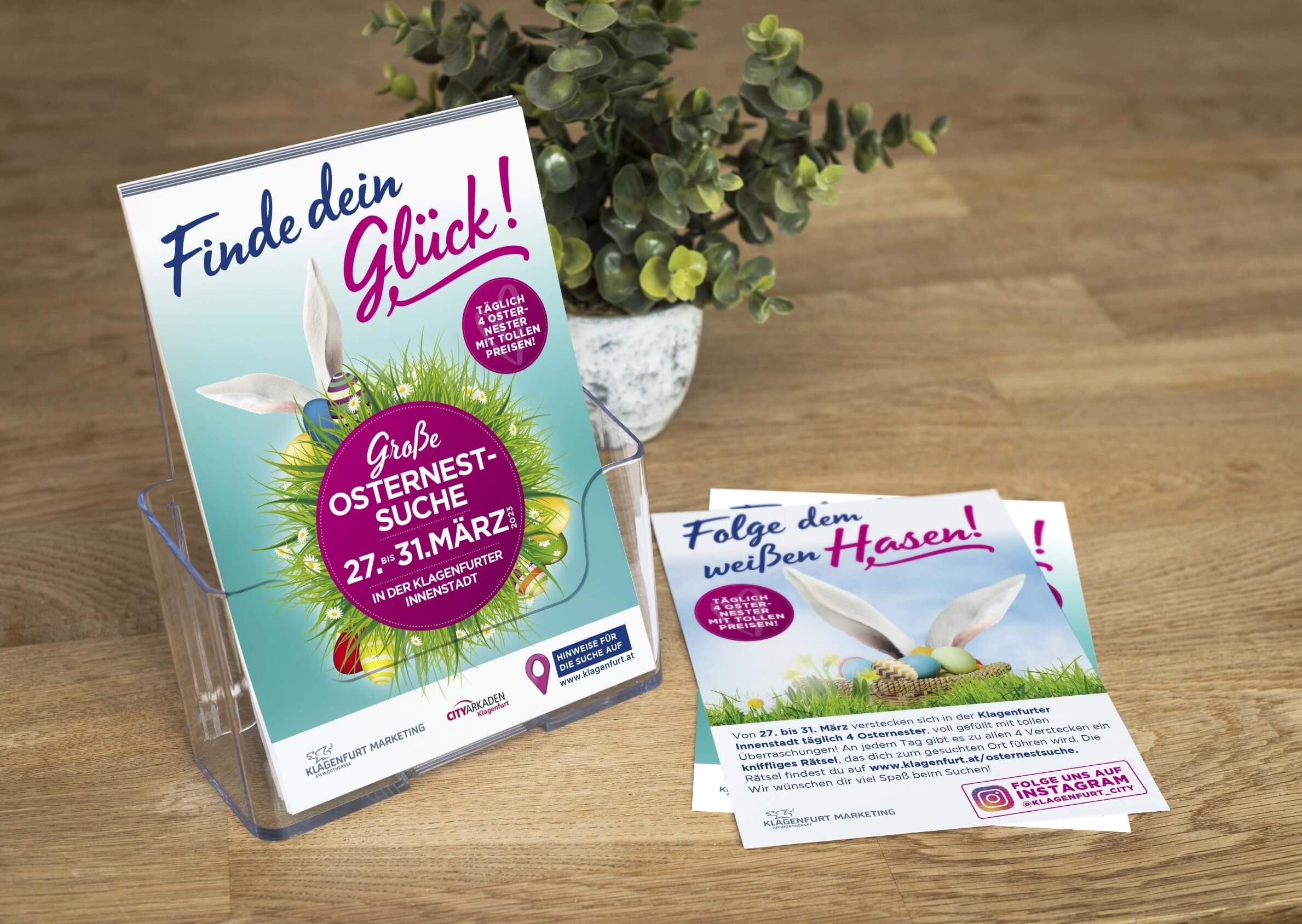 Flyer2